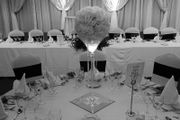 Martini Vase/Flower Ball Centerpieces