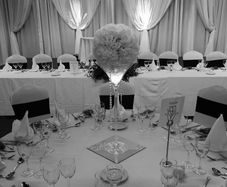 Martini Vase/Flower Ball Centerpieces