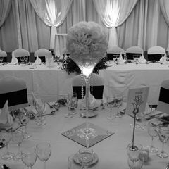 Martini Vase/Flower Ball Centerpieces