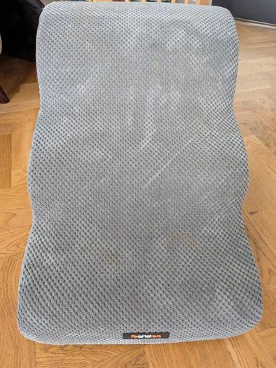 Dog ramp