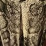 ladies black party bundle size 8_10 Image 6