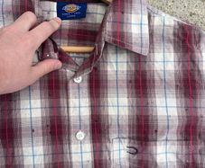 Dickies Shirt
