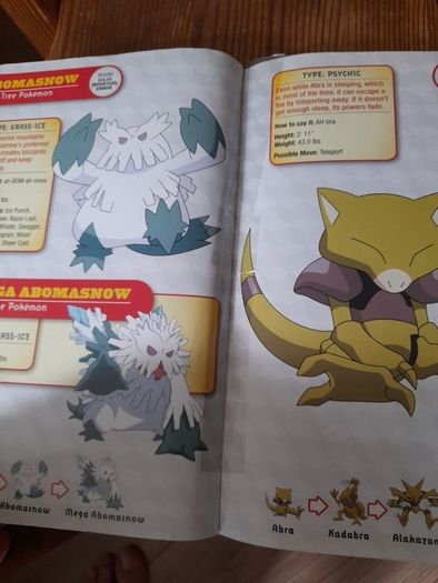 Pokemon Deluxe Essential Handbook