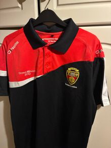 Down GAA polo S