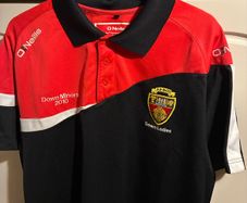 Down GAA polo S