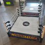 WWE bundle Image 2