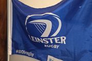 Two Large Leinster Flags