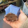 bonsai pot Image 2