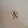 Prince Charles and Lady Diana Commemoration Plate Royal Wessex Image 5