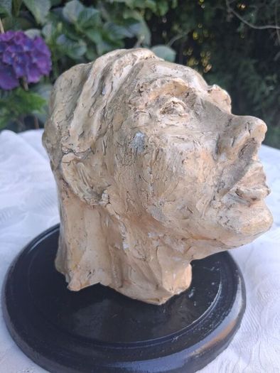 National College of Art Mid Century Paster Of Paris Mounted Bust