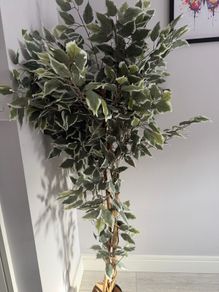 Artifical plant
