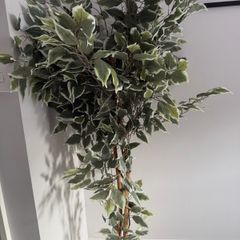Artifical plant