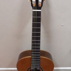 Ortega Electro-Classical Guitar (RE159RWSN)