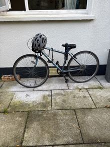 Adult bike