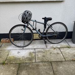 Adult bike