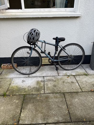 Adult bike