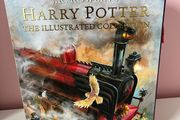 Harry Potter picture books