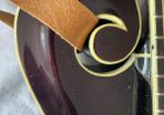 Kentucky KM 1000 Master Model Mandolin