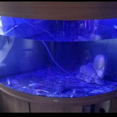 Juwel Fish Tank 190