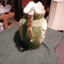 Staffordshire Pottery Image 4
