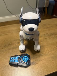 Robot Dog