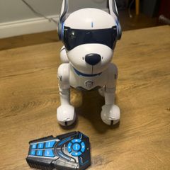 Robot Dog
