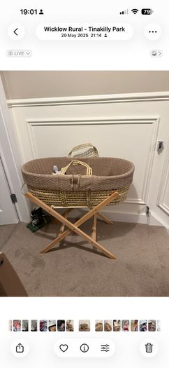 Little green sheep Moses basket