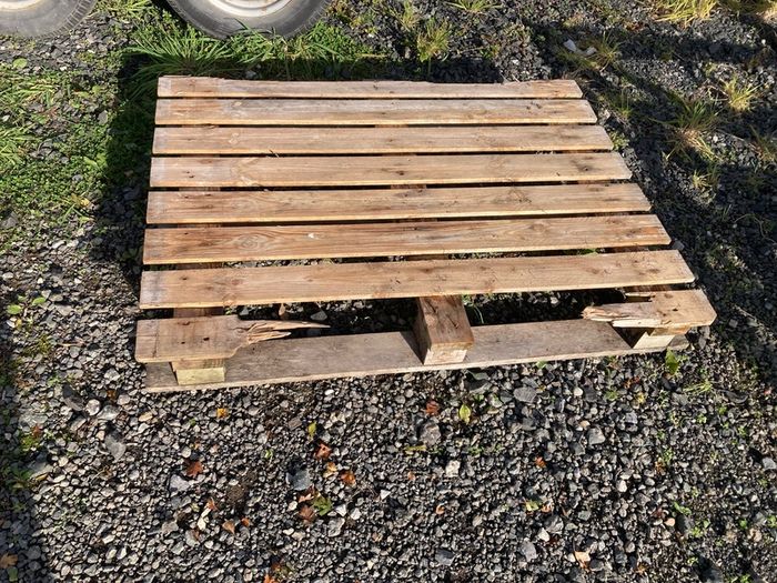 pallet free to go