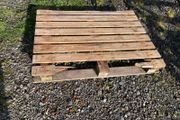 pallet free to go