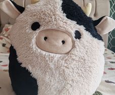 Connor the cow, Squishmallow