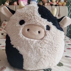 Connor the cow, Squishmallow