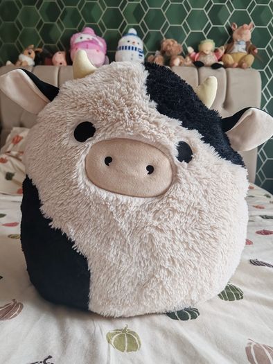 Connor the cow, Squishmallow