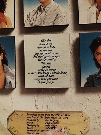 The hits of Luv Bug lp