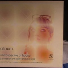 Seb Fontaine, John Kelly, Graeme Park - Platinum: An Introspective of House (3 x CD)