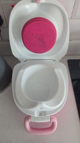 my carry potty