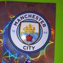 Panini Premier League Club Crest Cards Bundle  Arsenal Liverpool Man City + More Image 3