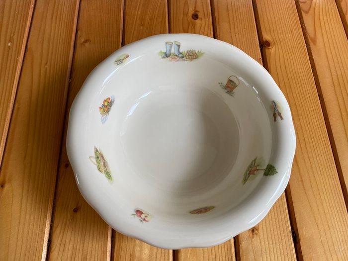 Beautiful Rare Vintage Aynsley Fine Bone China Edwardian kitchen garden - Jug and Wash Bowl