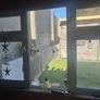 French Door and Window Image 4