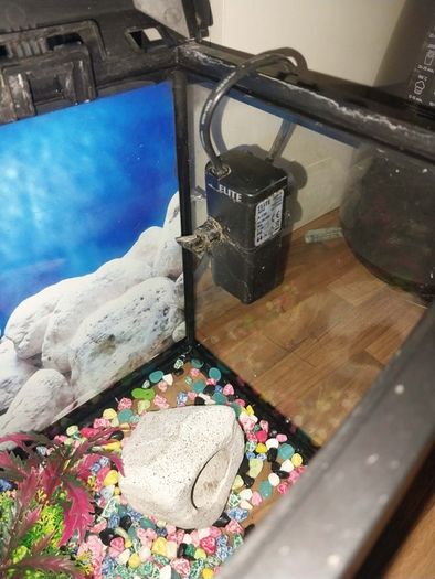 40 liter full glass aquarium with 2 filters and lots of extras