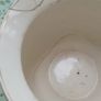 Vase -Royal Sydney Image 7