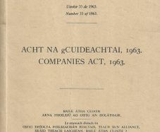 Companies Act 1963 Hardcover