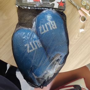 Foot Guards. Blitz