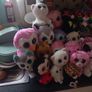 Huge TY Plushie Collection Image 2