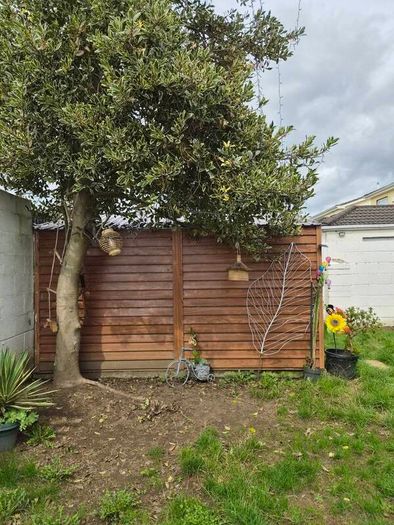 Shed,metal