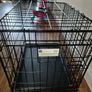 Animal crate Image 2