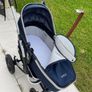 buggies Image 10