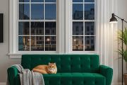 Luxury Velvet Sofa Bed with Golden Legs green