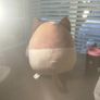 squishmallow Image 2
