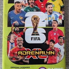 Panini Football Cards