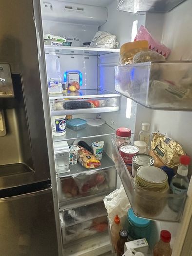 LG American style fridge freezer